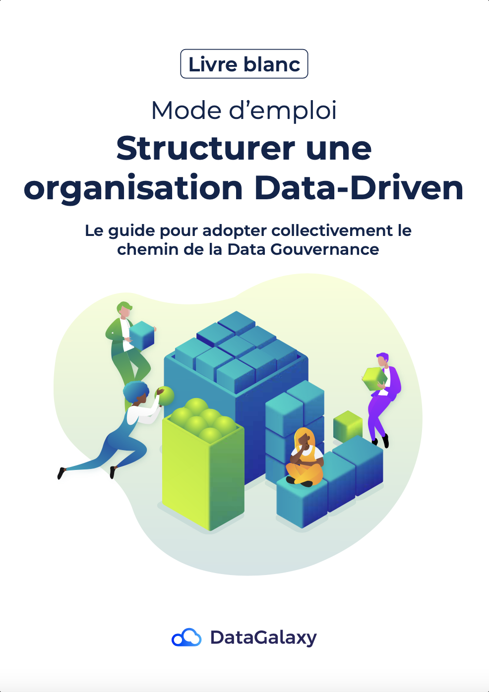 ebook-structurer-organisation-DataDriven