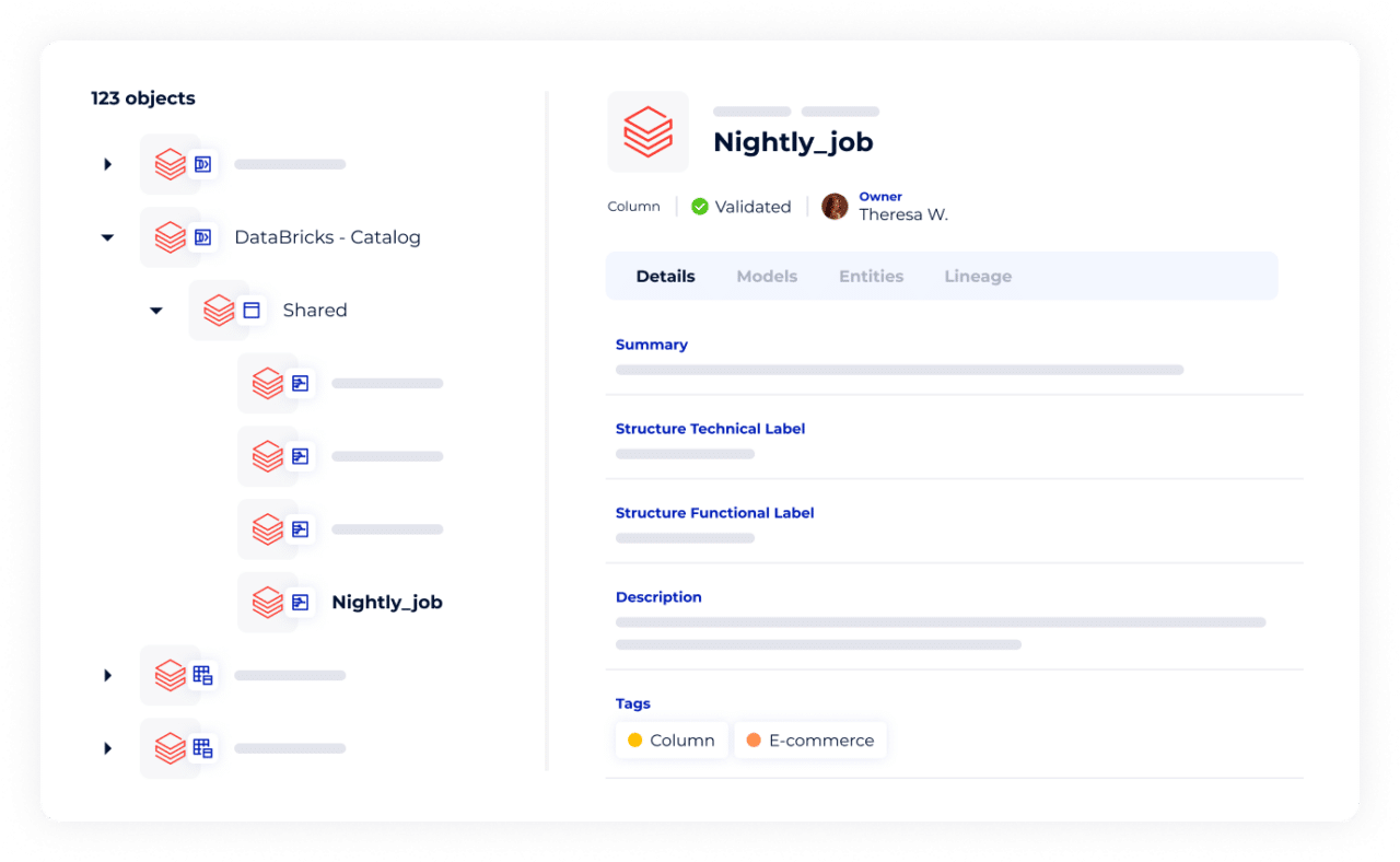 DataGalaxy's Databricks Data Catalog Connector