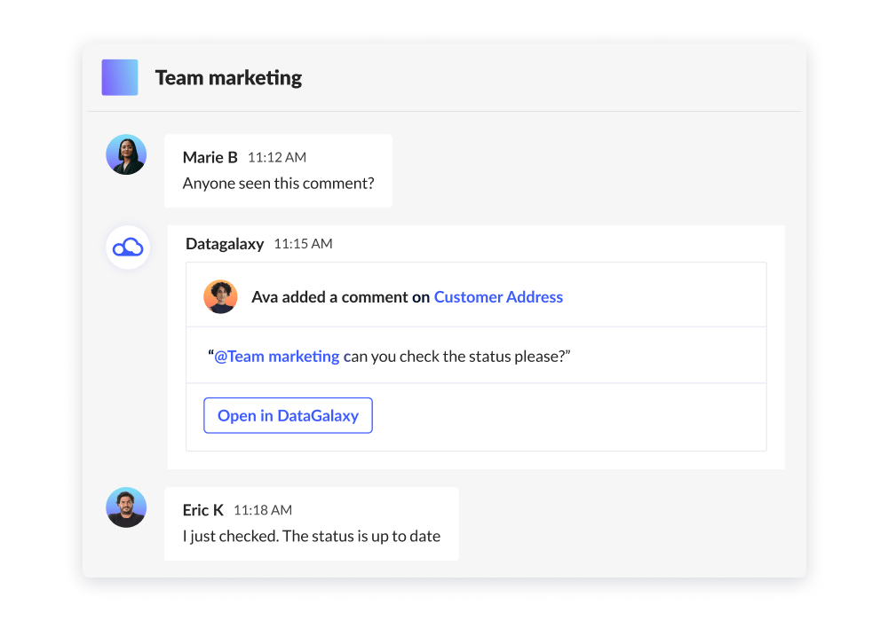 datagalaxy collaboration teams