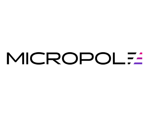  Micropole