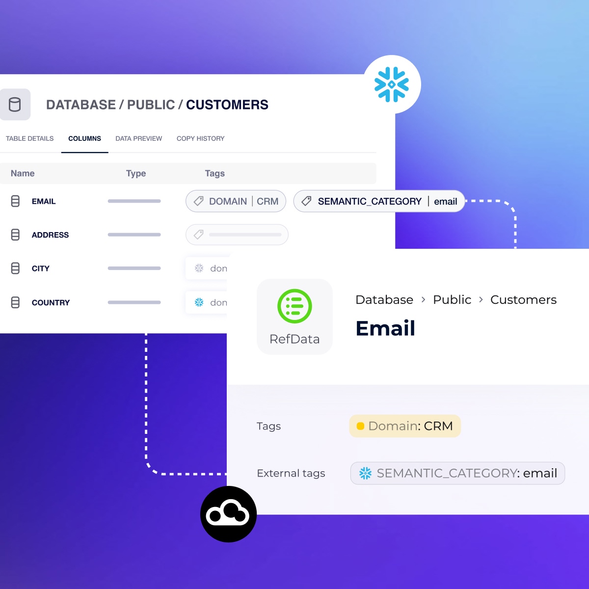 snowflake data classficiation