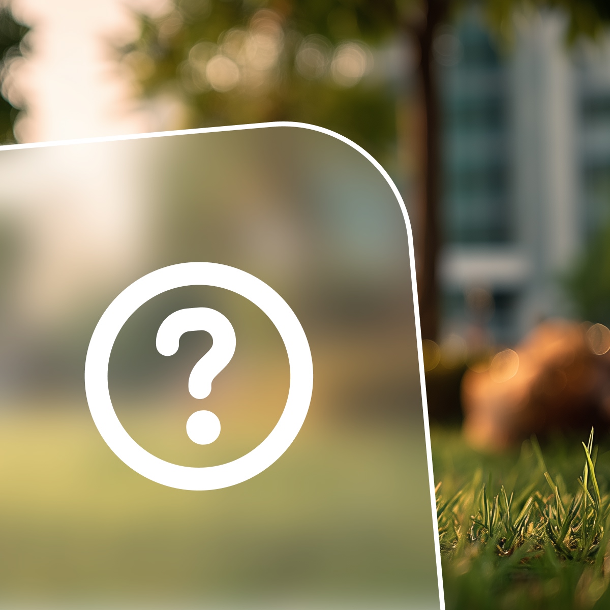 public sector question