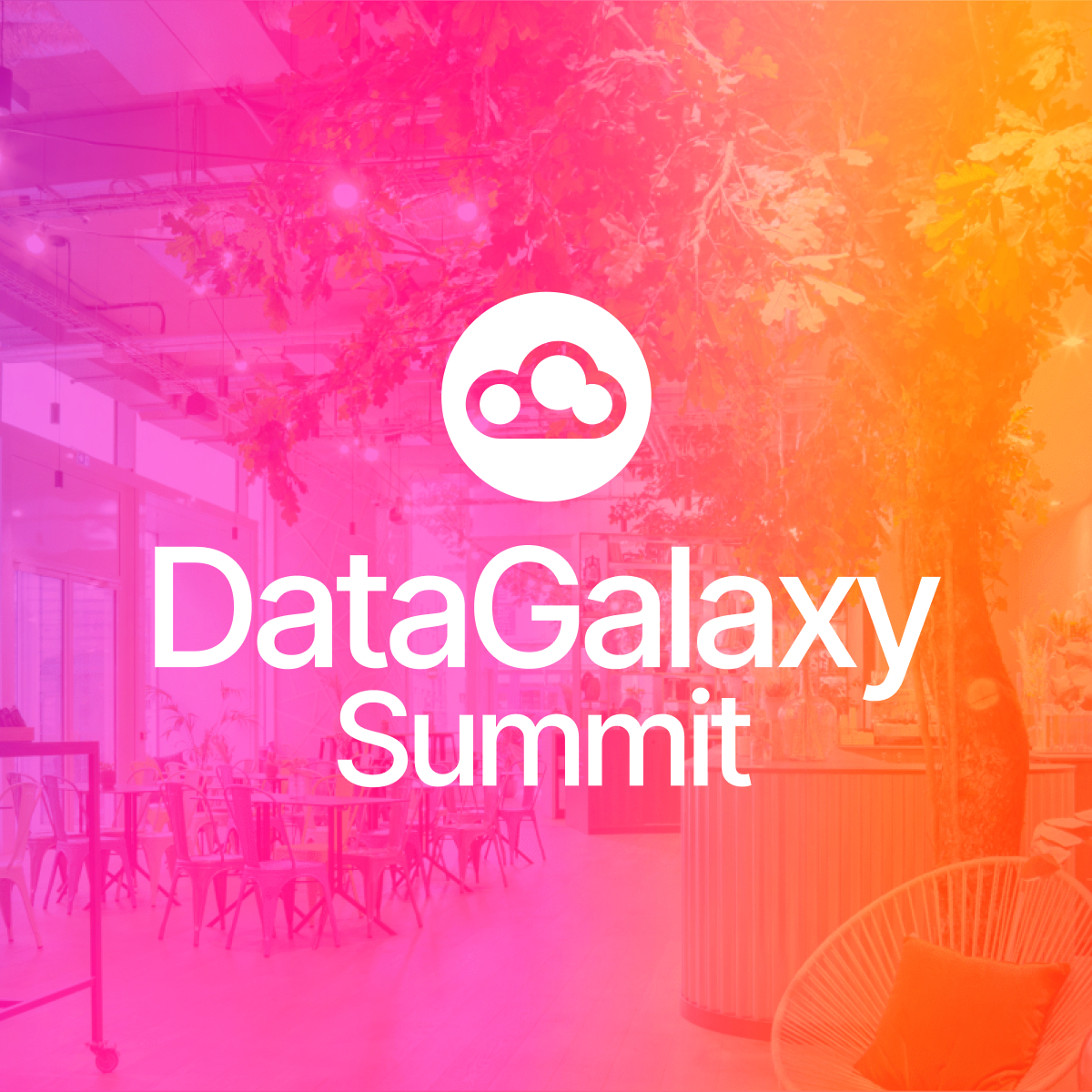 DataGalaxy Summit